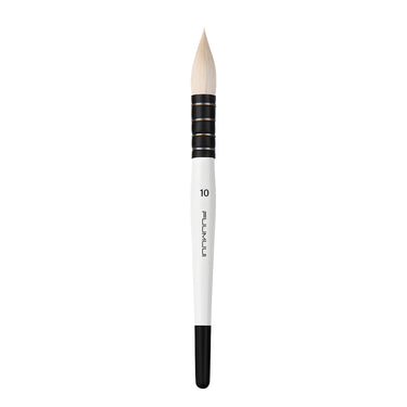 Pinceau aquarelle professionnel Fuumuui, taille 10, avec manche blanc et pointe pointue