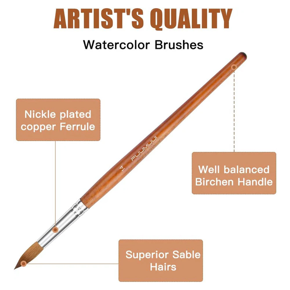Professional watercolor brushes with a well-balanced birch handle, superior sable hairs, and a nickel-plated copper ferrule for artists.