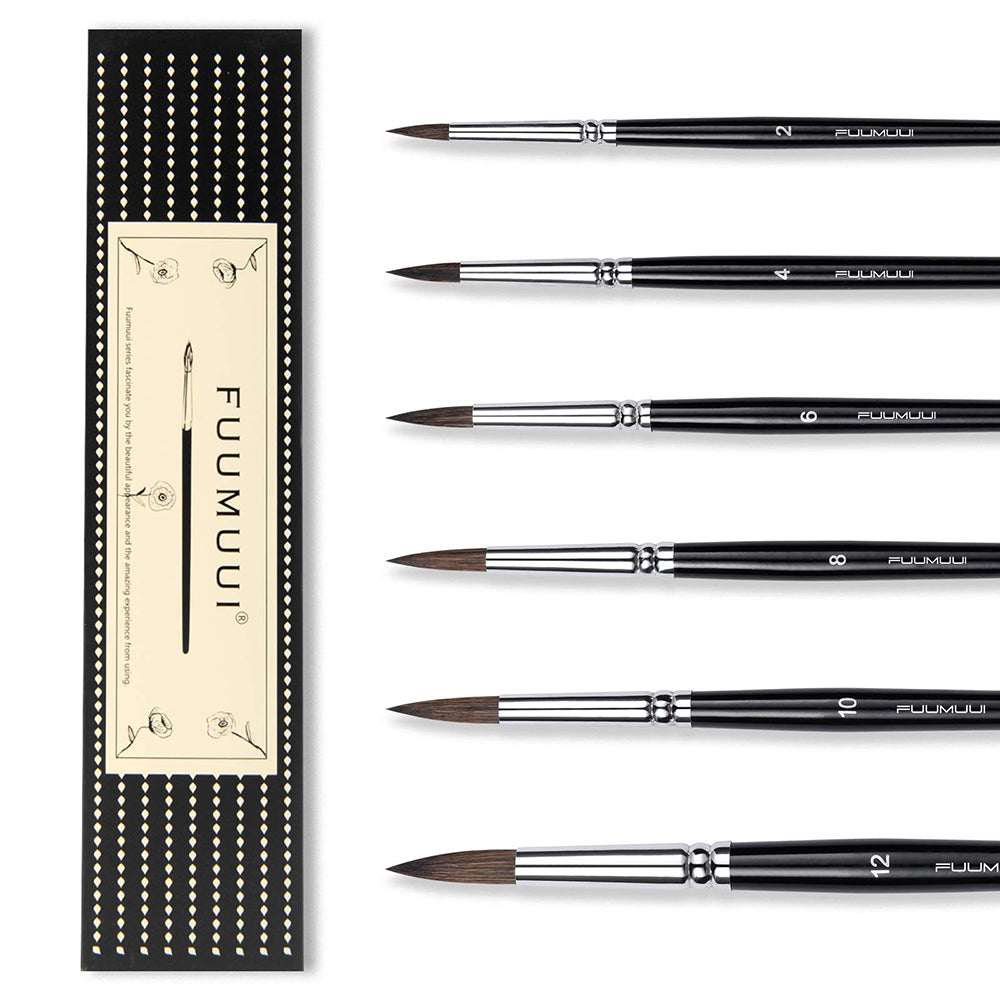 The 6-piece professional squirrel hair brush set and its elegant gift box packaging.