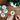 Fuumuui professional nylon detail brush creating intricate watercolor tree paintings, surrounded by finished tree art on a wooden desk.