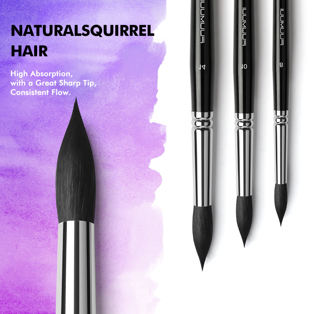The Ultimate Squirrel Collection – Softness, Flow & Effortless Blending