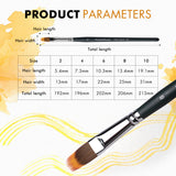 Fuumuui Filbert Grainer brush sizing chart showing detailed product parameters including hair length, hair width, and total length for synthetic dual-layer brushes in sizes 2, 4, 6, 8, and 10, perfect for watercolor and acrylic art supplies.