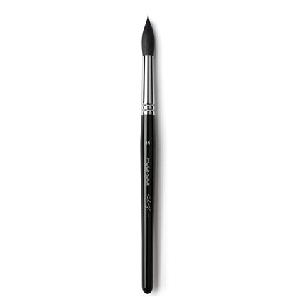 The Ultimate Squirrel Collection – Softness, Flow & Effortless Blending