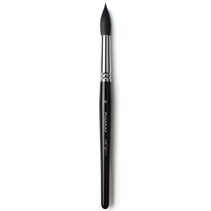 The Ultimate Squirrel Collection – Softness, Flow & Effortless Blending