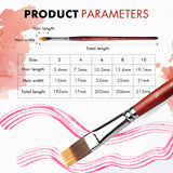 Fuumuui Art Supplies dimensions chart for 5-piece dual-layer synthetic flat grainer brush set, showing hair length, hair width, and total length for watercolor and acrylic brush sizes 2, 4, 6, 8, 10.