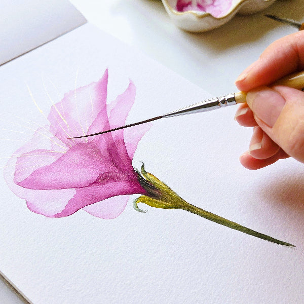 Professional artist using a Kolinsky Sable Detail Brush for fine lines on a pink watercolor flower. Painted on 140lb 300gsm cold press watercolor paper with a ceramic palette and pink pigment nearby.