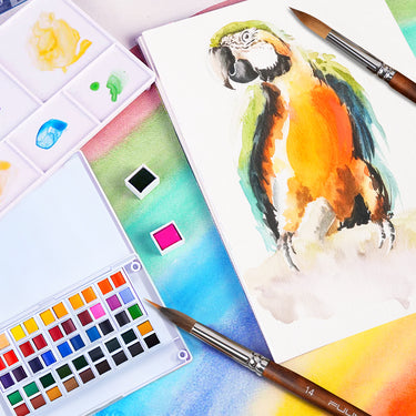 Set di colori ad acquerello Fuumuui da 48 colori aperto con vivaci vernici in cialde, pennelli per acquerello, una tavolozza di miscelazione e un colorato dipinto di pappagalli su un album da disegno.