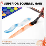 Pennello professionale per acquerello Fuumuui con setole superiori in pelo di scoiattolo che dipinge un tratto arancione su carta, accanto a una tavolozza di acquerelli vibrante, che mostra le sue setole morbide e l'efficace assorbimento dell'acqua per ampie campiture.