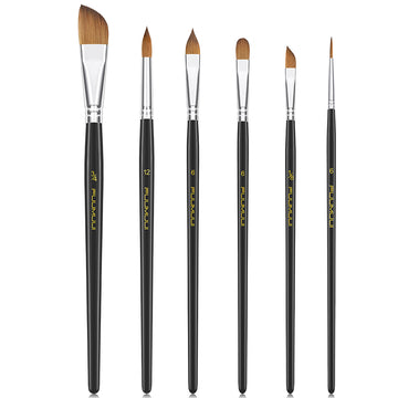 Fuumuui 6pcs Professional Watercolor Brushes set, featuring liner, pointed rounds, daggers, and cat's tongue shapes, with black handles and natural bristles.