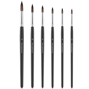 6pcs Professional High-Quality Squirrel Paint Brush Set
