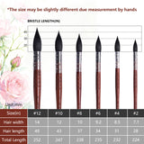 Tabella delle dimensioni del set di pennelli a punta tonda in pelo di scoiattolo naturale FUUMUUI da 6 pezzi per forniture artistiche, che dettaglia la larghezza del pelo, la lunghezza del pelo e la lunghezza totale per le dimensioni dei pennelli #12, #10, #8, #6, #4, #2.