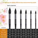 Ensemble de 6 pinceaux aquarelle professionnels Fuumuui avec manches imprimés, présentant un tableau détaillé des tailles et des spécifications pour les pinceaux #12, #10, #8, #6, #4, #2, y compris la longueur des poils, la largeur des poils et la longueur totale pour les fournitures d'art Fuumuui.