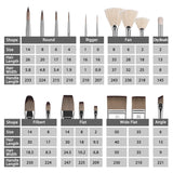 Tableau détaillé des tailles et dimensions de l'ensemble de pinceaux de mélange acrylique professionnels Fuumuui & Samantha Anderson pour divers pinceaux de fournitures d'art Fuumuui, y compris les formes rondes, rigger, éventail, pinceau sec, filbert, plates, plates larges et en angle, avec les spécifications de taille, longueur des poils, largeur des poils et longueur du manche.