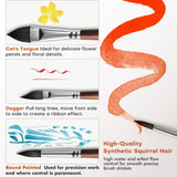 Set di pennelli per acquerello Fuumuui da 10 pezzi in morbido pelo di scoiattolo sintetico che mostra la lingua di gatto per fiori delicati, il pugnale per linee a nastro e la punta rotonda per la precisione, enfatizzando l'elevato controllo dell'acqua e del flusso per tratti fluidi.