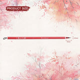 Pennello per acquerello in pelo di capra rosso artigianale FUUMUUI con manico rosso, che mostra le dimensioni del prodotto con una larghezza della punta del pennello di 4,5 mm e una lunghezza del pelo di 19 mm, da Fuumuui art supplies.