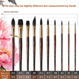 Fuumuui 10pcs Soft Synthetic Squirrel Hair Watercolor Brush Set size chart showcasing different brush shapes including cat's tongue, flat, dagger, round, and liner, with detailed bristly lengths and overall measurements for sizes #0 to #16.
