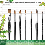 Fuumuui 7-teiliges professionelles Aquarellpinsel-Set mit Zobelhaar, das verschiedene flache, runde und Filbert-Formen in den Größen Nr. 16, Nr. 14, Nr. 9, Nr. 1/4", Nr. 0, Nr. 20, Nr. 4 zeigt.