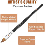 Fuumuui artist's quality professional watercolor brush featuring superior sable hairs, nickel-plated copper ferrule, and a well-balanced birchen handle.
