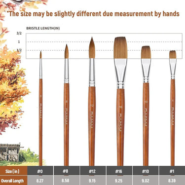 Fuumuui 6pcs Professional Watercolor Brushes set, displaying various round and flat brush sizes #0, #8, #12, #16, #10, #1 with bristle and overall length measurements.