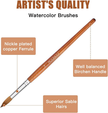 Fuumuui watercolor brush with superior sable hairs, nickel-plated copper ferrule, and a well-balanced birchin handle.