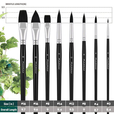 Fuumuui 8pcs professional squirrel watercolor brushes set, displaying assorted sizes (#16, #14, #12, #8, #4, #0) and shapes including flat wash, round, and detail tips with labeled lengths.