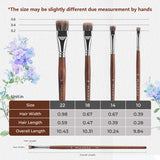 Tabella delle dimensioni del set di pennelli piatti in pelo di tasso 4 pezzi Fuumuui, che descrive in dettaglio le dimensioni per i pennelli con manico in legno marrone 22, 18, 14, 10, materiali artistici Fuumuui ideali per pittura acrilica e a olio.