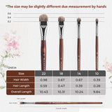 Tabella delle misure del set di pennelli Filbert FUUMUUI da 4 pezzi con setole di tasso, che illustra larghezza, lunghezza delle setole e lunghezza complessiva per i pennelli di misure 22, 18, 14 e 10 con manici in legno marrone, adatti per pittura a olio e acrilico.