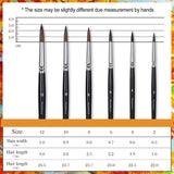 Tabella delle dimensioni del set di pennelli professionali Fuumuui da 6 pezzi di alta qualit¨¤ in scoiattolo, che dettaglia la larghezza dei peli, la lunghezza dei peli e la lunghezza complessiva per le dimensioni dei pennelli 12, 10, 8, 6, 4 e 2.