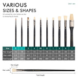 Fuumuui 10-piece professional acrylic and oil painting brush set sizes and shapes chart, detailing individual brush dimensions including hair length and width.
