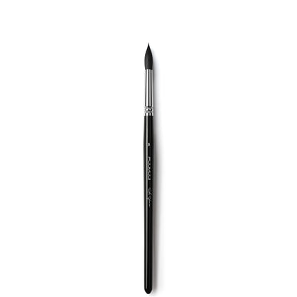 The Ultimate Squirrel Collection – Softness, Flow & Effortless Blending