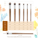 Fuumuui 6-teiliges Dachshaar Dome Rundpinsel Set, das alle sechs professionellen Künstlerpinsel von Größe 6 bis 22 zusammen mit einer detaillierten Größentabelle mit Gesamtlänge, Haarlänge und Haarbreitenmessungen zeigt.