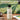 Fuumuui turpentine solvent bottle on wooden desk to help speed up oil paint drying time.