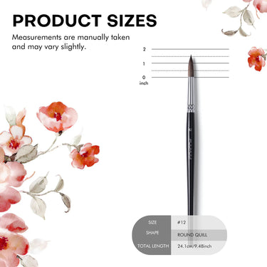 Product dimensions diagram showing total length of size 12 Fuumuui natural sable round quill watercolor brush.