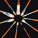 A professional product photo showing the full set of 11 hog bristle paint brushes arranged in a circular pattern.
