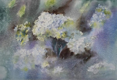 Soft white hydrangea blooms rendered in expressive watercolor technique by Coral.