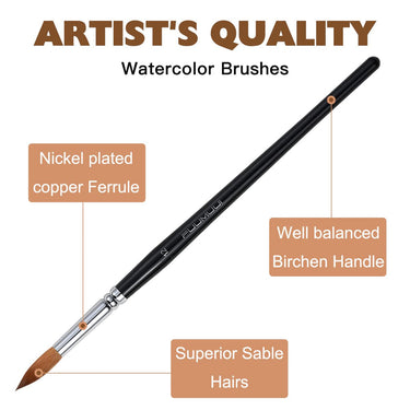 Fuumuui artist quality sable watercolor brush highlighting superior sable hairs, nickel-plated copper ferrule, and well-balanced birchem handle.